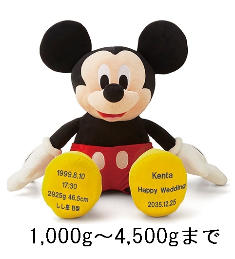 k-BA126127