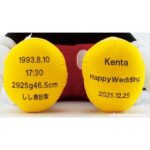 k-BA126127