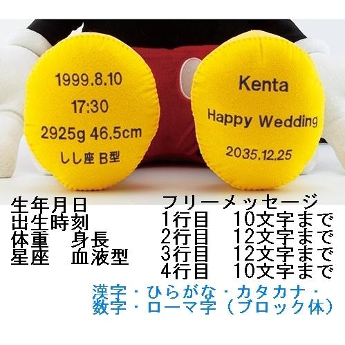 k-BA126127