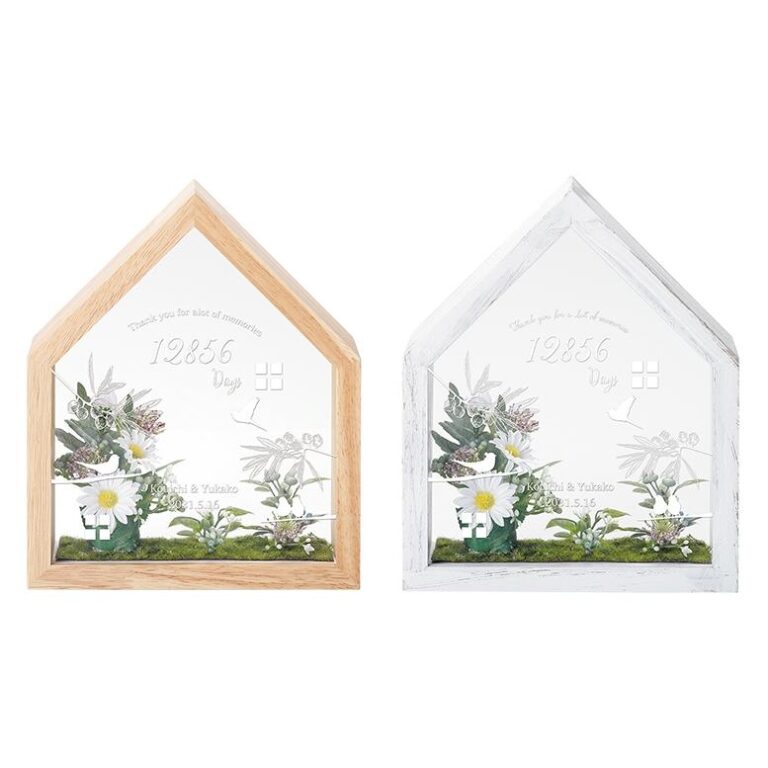k-JP060061-2set