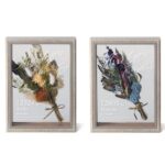 k-JP056057-2set