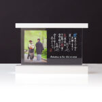 k-WS-016