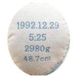 I-3000
